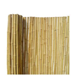 Canisse bambous ronds 30/40