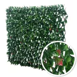Treillis Extensible Photinia brise-vue