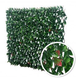 Treillis Extensible Photinia brise-vue