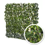 Treillis Extensible Jasmin brise-vue