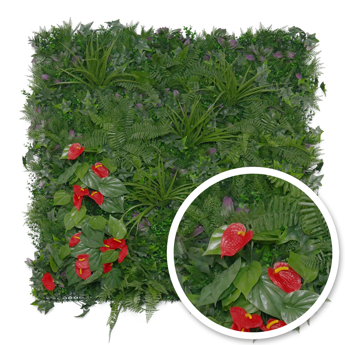 Mur végétal Tropical